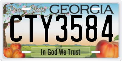 GA license plate CTY3584