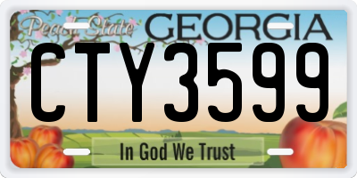 GA license plate CTY3599