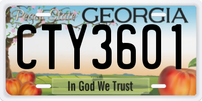 GA license plate CTY3601