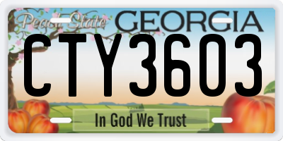 GA license plate CTY3603