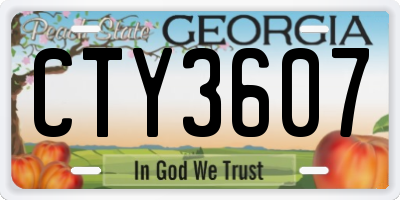 GA license plate CTY3607