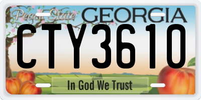 GA license plate CTY3610
