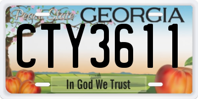 GA license plate CTY3611