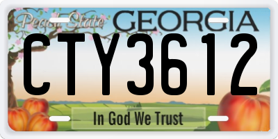 GA license plate CTY3612