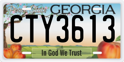 GA license plate CTY3613