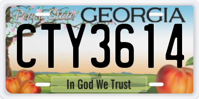 GA license plate CTY3614