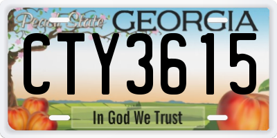 GA license plate CTY3615
