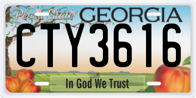GA license plate CTY3616