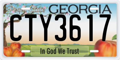 GA license plate CTY3617