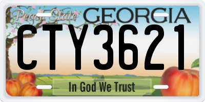 GA license plate CTY3621