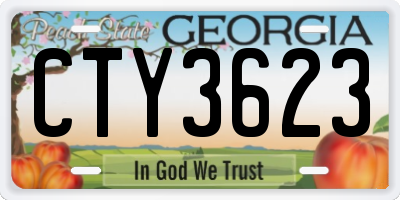 GA license plate CTY3623
