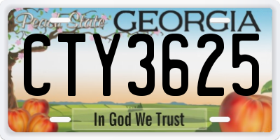 GA license plate CTY3625