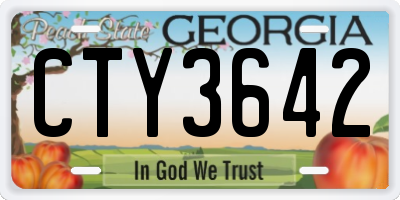 GA license plate CTY3642