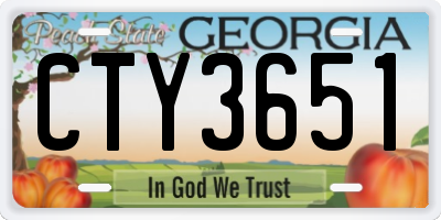GA license plate CTY3651