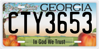 GA license plate CTY3653