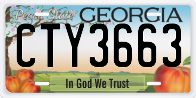 GA license plate CTY3663