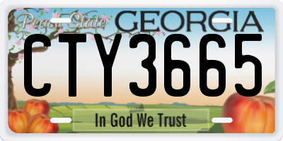GA license plate CTY3665