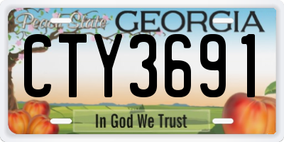 GA license plate CTY3691