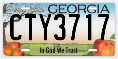 GA license plate CTY3717