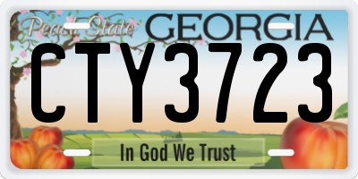 GA license plate CTY3723