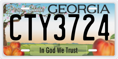 GA license plate CTY3724