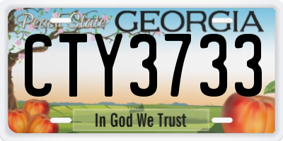 GA license plate CTY3733