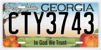 GA license plate CTY3743