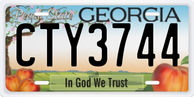 GA license plate CTY3744