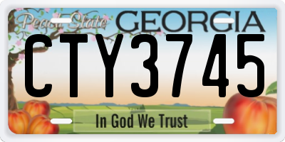 GA license plate CTY3745
