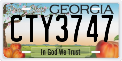 GA license plate CTY3747