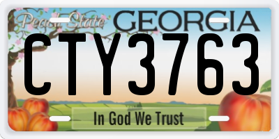 GA license plate CTY3763