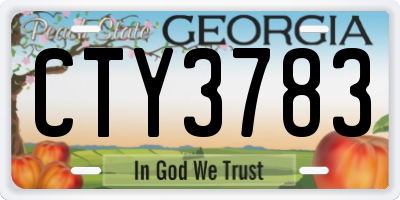GA license plate CTY3783