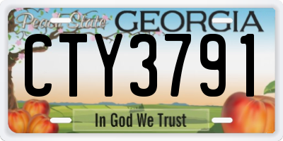 GA license plate CTY3791