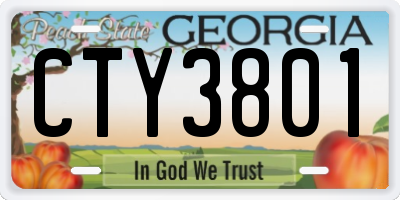 GA license plate CTY3801