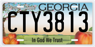 GA license plate CTY3813