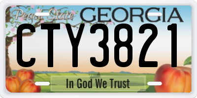 GA license plate CTY3821
