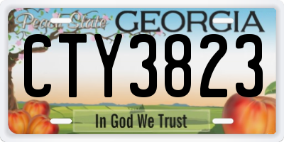 GA license plate CTY3823
