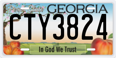 GA license plate CTY3824