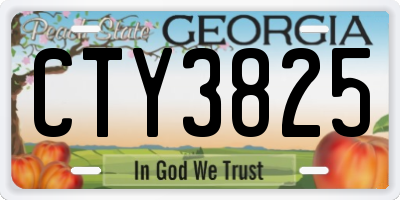 GA license plate CTY3825