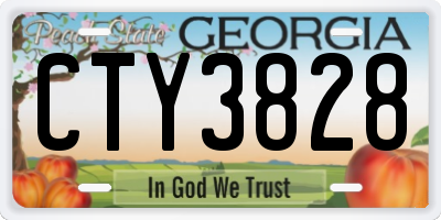 GA license plate CTY3828