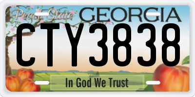 GA license plate CTY3838