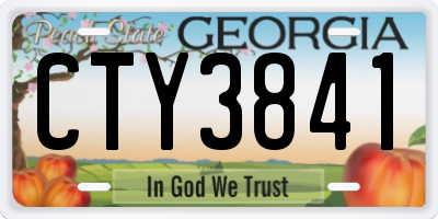 GA license plate CTY3841