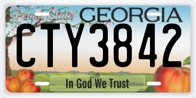 GA license plate CTY3842