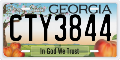 GA license plate CTY3844