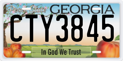 GA license plate CTY3845