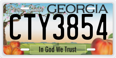 GA license plate CTY3854