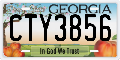 GA license plate CTY3856