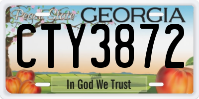 GA license plate CTY3872