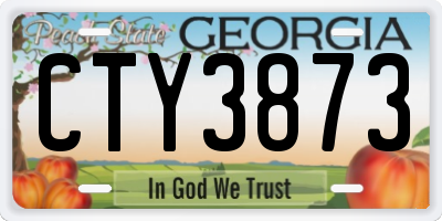 GA license plate CTY3873