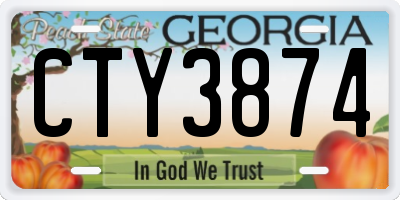 GA license plate CTY3874
